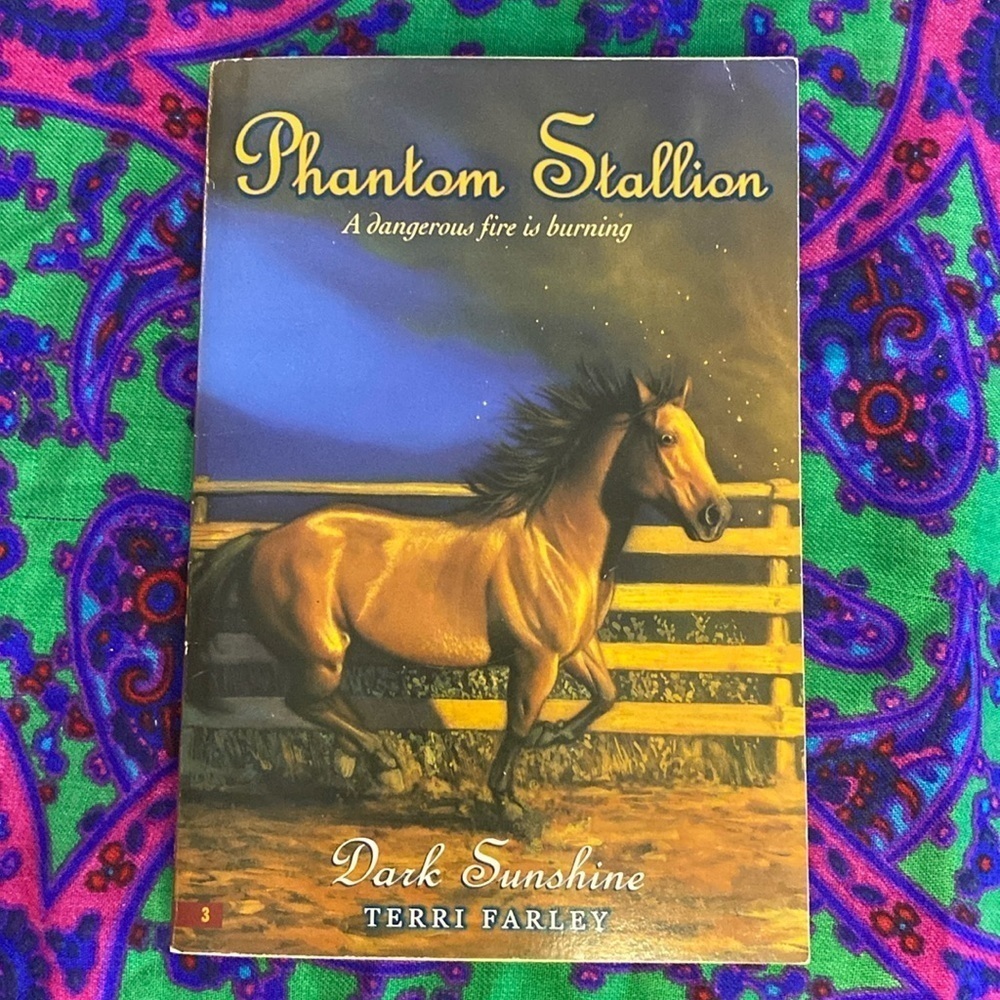 Phantom Stallion: Dark Sunshine Book 3 By Terri Farley VTG 2002